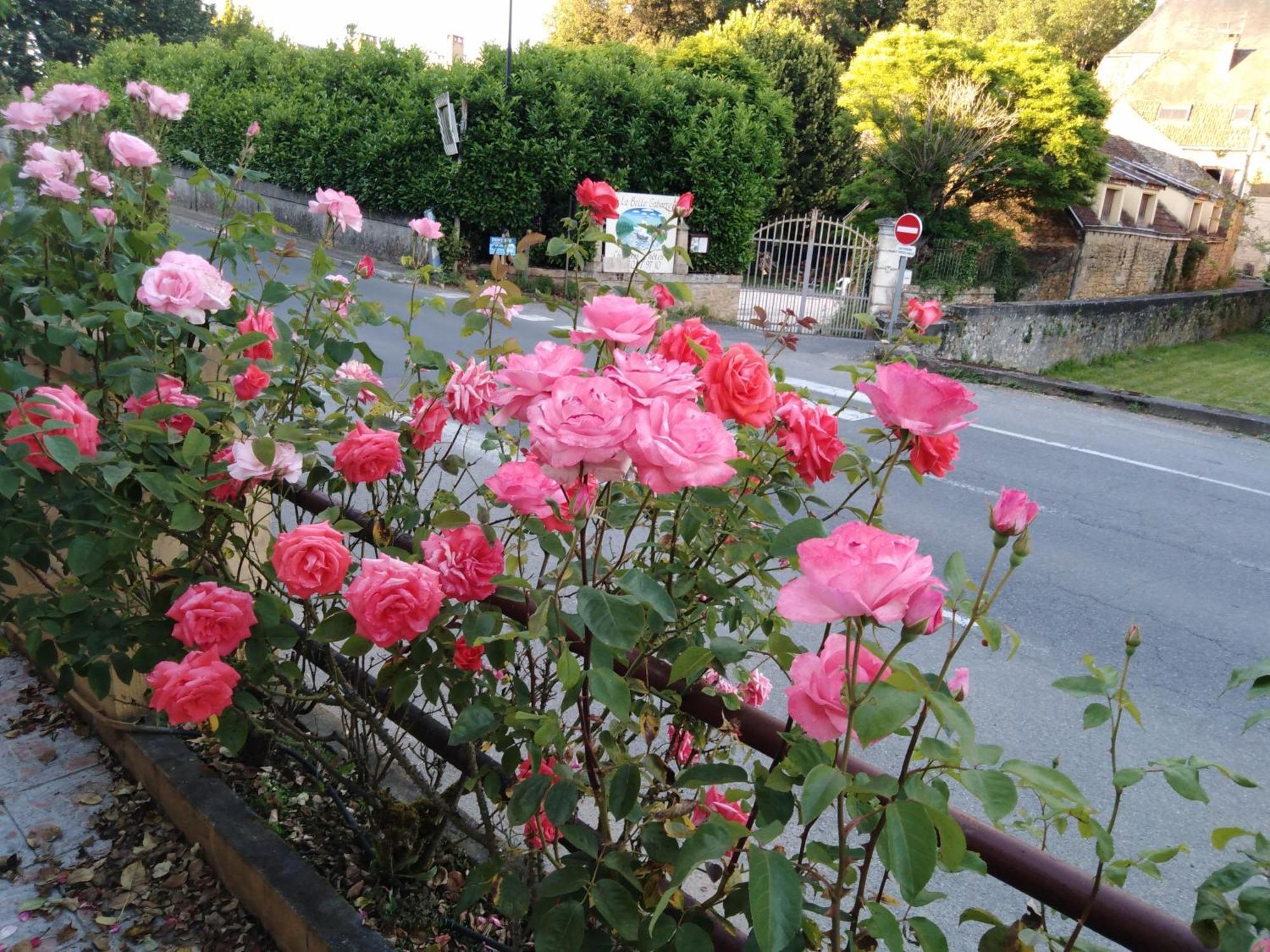 Hotel Du Pont Et Restaurant A Groléjac 외부 사진